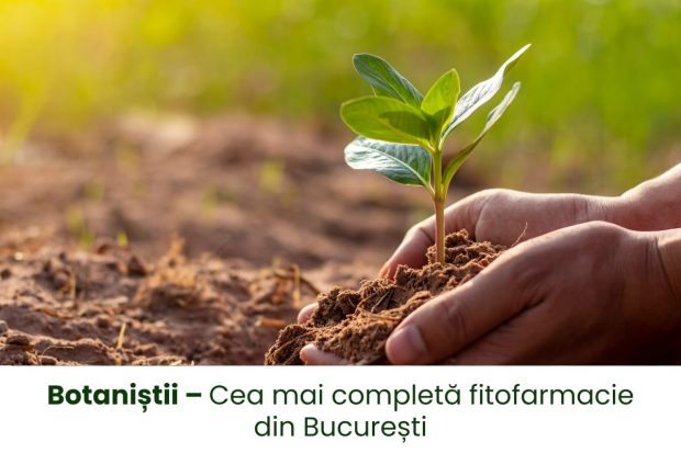 Botaniștii – Cea mai completă fitofarmacie din București