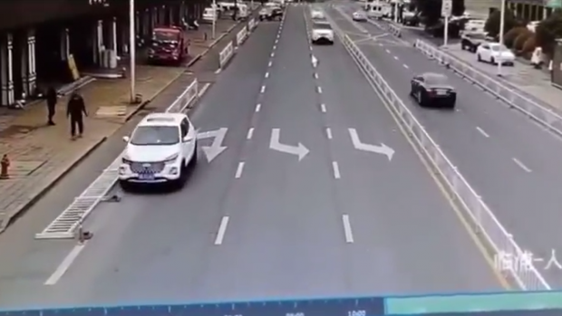 Câine surprins la volanul unei mașini pe o șosea din China. A lovit de mai multe ori un parapet, apoi a fugit