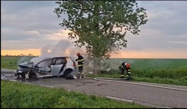 Un șofer a fost găsit mort pe marginea drumului, după ce a intrat cu mașina într-un copac, în Timiș. Autoturismul a luat foc | VIDEO