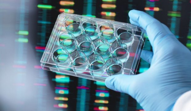 Avertismentul cercetătorilor britanici: „ADN-ul nostru poate fi folosit pentru supraveghere sau bioterorism”