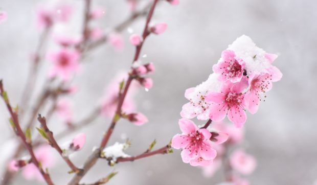 Cum va fi vremea mâine. Prognoza meteo pentru miercuri, 9 aprilie 2025