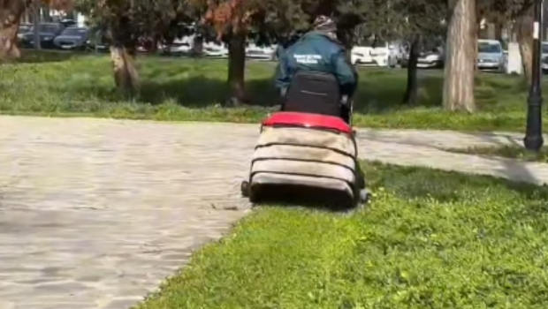 Un român din Canada a venit la Timişoara și a văzut „cosirea mozaicată” a ierbii: „Pe mine mă șochează”