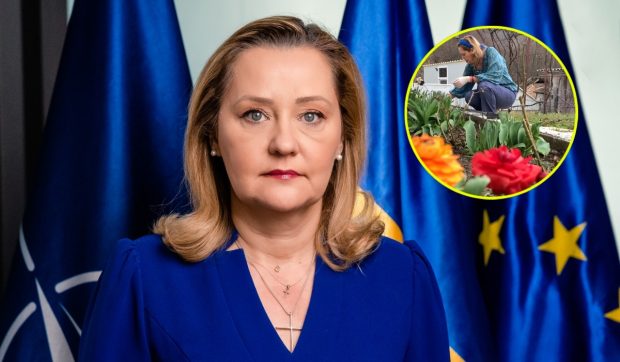 Imagine Stire Imagini cu Elena Lasconi în grădina casei sale din Câmpulung Muscel. A dat cu sapa, a greblat, iar apoi a plantat flori de primăvară | 2review.ro