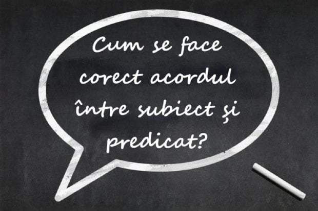 Greșeli comune în acordul dintre subiect și predicat – cum se face corect acordul