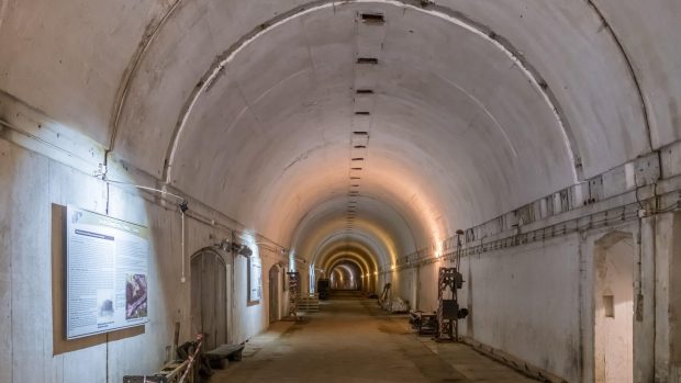 O fotografie din arhivele CIA reaprinde conspirațiile privind supraviețuirea lui Hitler