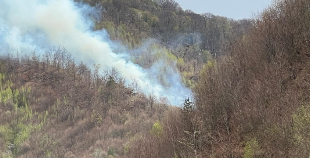 Incendiu de pădure în Argeș. Pompierii încearcă să stingă flăcările extinse pe 30.000 mp. A fost chemat și un elicopter Black Hawk
