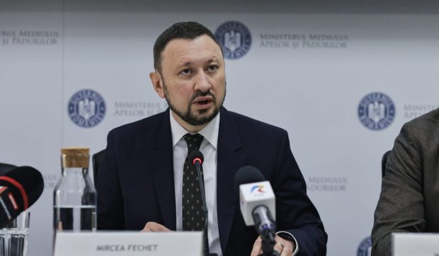 Legislația privind intervenția asupra urșilor se modifică: „În România sunt până la 12.770 de urși bruni, numărul optim este de 4.000”