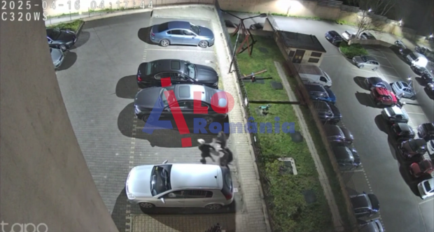 Tineri din Iași, filmați când vânează doi pui de căprioară pe străzile din oraș I VIDEO