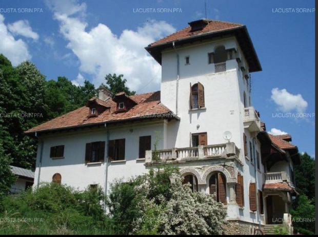 Cât plătești ca să trăiești ca un boier în 2025? Se caută cumpărători pentru unele dintre cele mai frumoase conace din România – FOTO