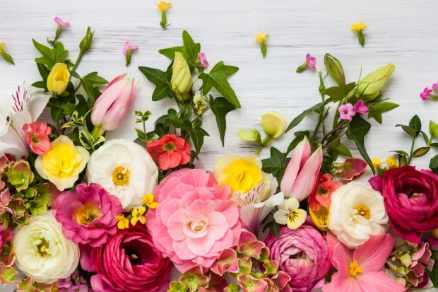  Urări Inspiraționale pentru Nume Florale – Sărbătorește Intrarea Domnului în Ierusalim cu Cele Mai Frumoase Gânduri și Tradiții. Călătorește prin Povestea Sfintei Zile și Descoperă Originea Păgână a Sărbătorii!