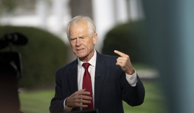 Replica neașteptată a lui Peter Navarro, consilierul lui Donald Trump, după ce Elon Musk a spus că e „mai prost decât un sac de cărămizi”