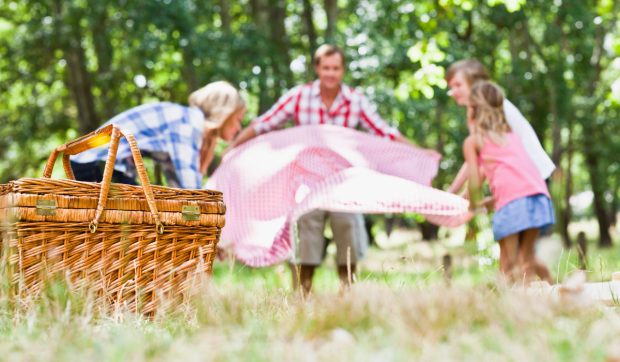 Șapte păduri în apropiere de București, ideale pentru plimbări și picnicuri