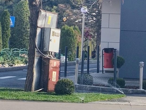 La Galați, un panou electric legat de un copac este udat în fiecare zi. Ce spun autoritățile