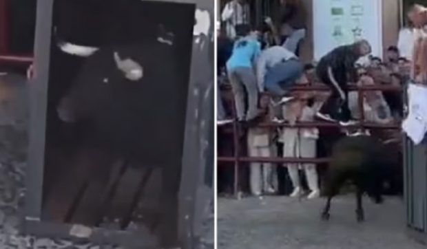 Momentul în care un taur furios trece prin barieră și lovește mulțimea, inclusiv copii, la un festival de Paște în Spania I VIDEO