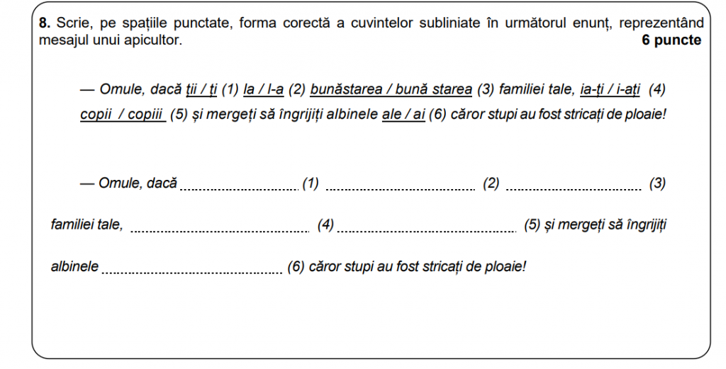 Exercițiul de la Simularea la Română la Evaluarea Națională 2025 care a fost rezolvat integral doar de 1 din 10 elevi: copii sau copiii