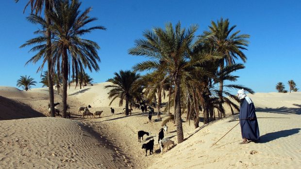 Ciobanii din Sahara vând stele căzătoare, pe care cer mii de dolari