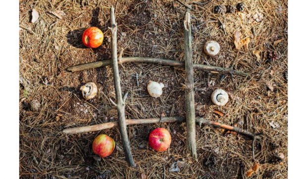 Compostarea inteligentă: două unelte-cheie care te ajută să obții un sol mai fertil