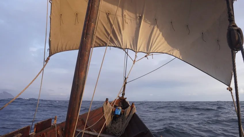 Un arheolog navigează de trei ani pe urmele vikingilor: „O balenă a ieșit brusc la suprafață”