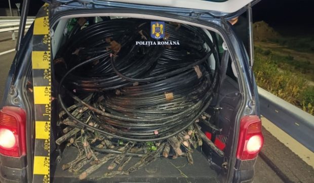 Cinci bărbați din Brăila, prinși când „furau curent” la propriu: aveau în mașină 500 de kilograme de conductori electrici