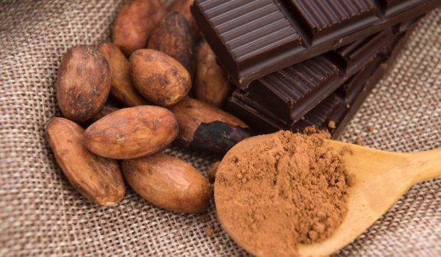 „Criza ciocolatei” în Europa: schimbările climatice amenință aprovizionarea UE cu cacao și alte alimente de bază