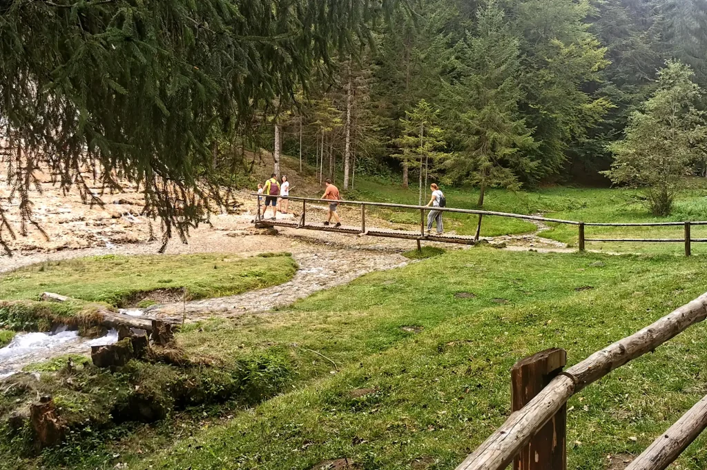 Drumul spre Cascada Urlătoarea