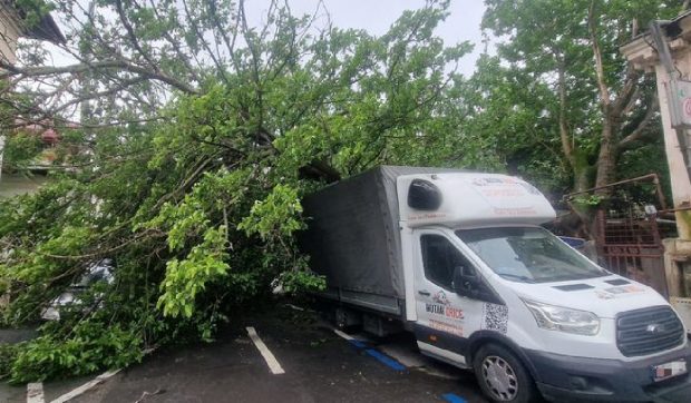 Un copac uriaș a căzut peste 4 mașini parcate și a blocat o stradă întreagă, în sectorul 1 din București