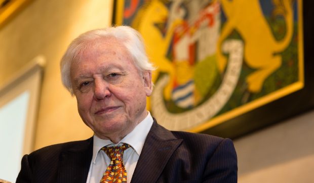 David Attenborough, unul dintre cei mai iubiți naturaliști, avertisment la aproape 100 de ani: „Doar dacă salvăm oceanele, ne salvăm planeta”