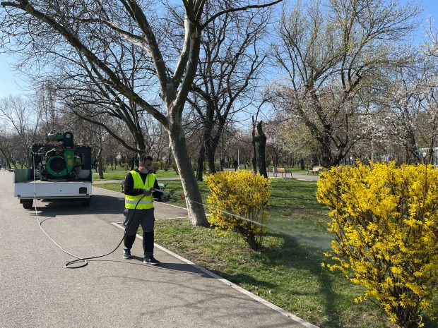 Cum se curăță Bucureștiul de căpușe. Biolog: „Pulverizăm cu atomizoare și din mașini special echipate”