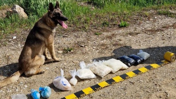 O grupare din Oradea ascundea droguri în pădure și pe malul apelor, și trimitea apoi coordonatele GPS cumpărătorilor