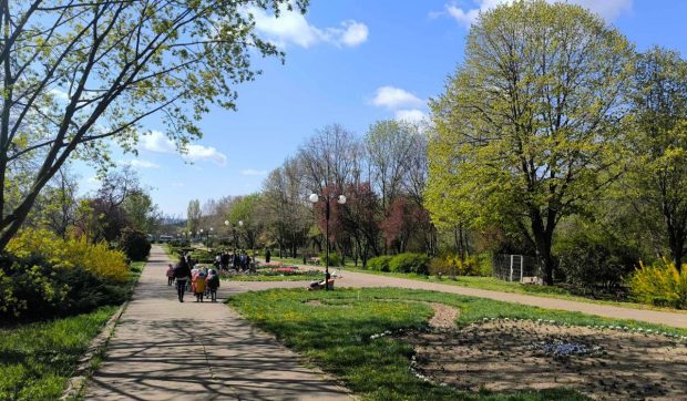Maimuțele din Olanda, legătură neașteptată cu spațiile verzi de la Grădina Botanică Galați: „A cerut sponsorizări, de parcă se ducea acolo să ia o pisică”