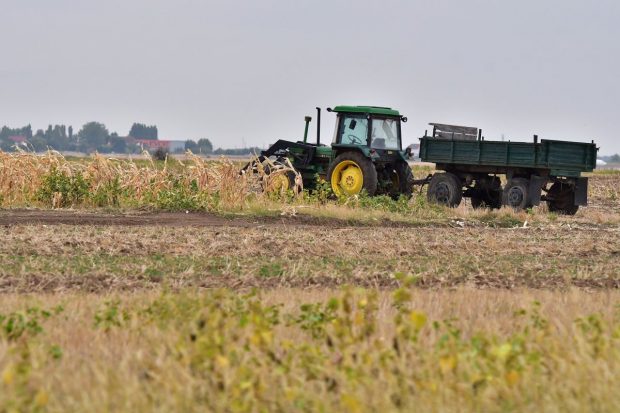 România va avea o producție-record de cereale în 2025, potrivit datelor Comisiei Europene