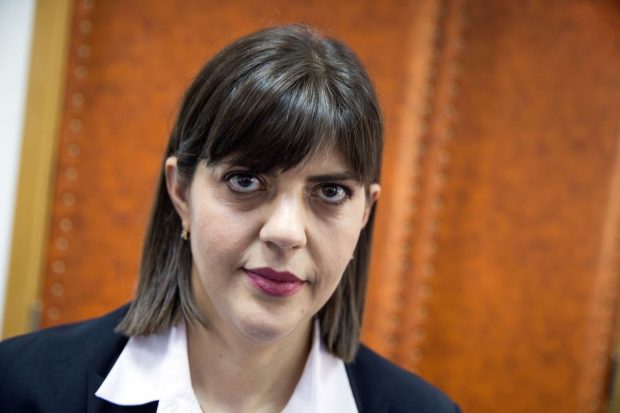 Descinderi în peste 300 de locații din România ale procurorilor lui Kovesi. Fraudă masivă cu fonduri europene în apicultură