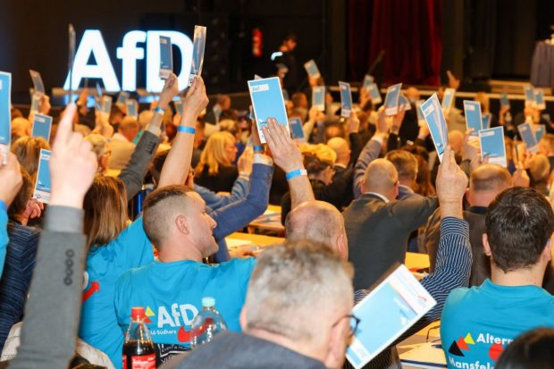 Germania în fața unei decizii cruciale: Va fi interzis partidul AfD, declarat extremist?