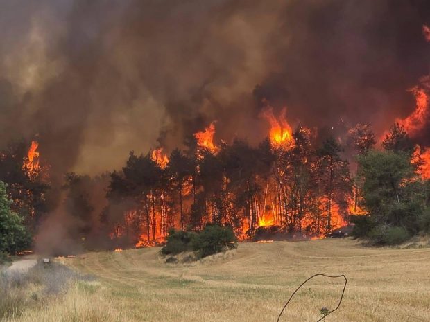 Oamenii au fugit din calea focului și și-au abandonat mașinile, în Israel. România trimite două avioane, pentru ca incendiul să nu ajungă la Ierusalim