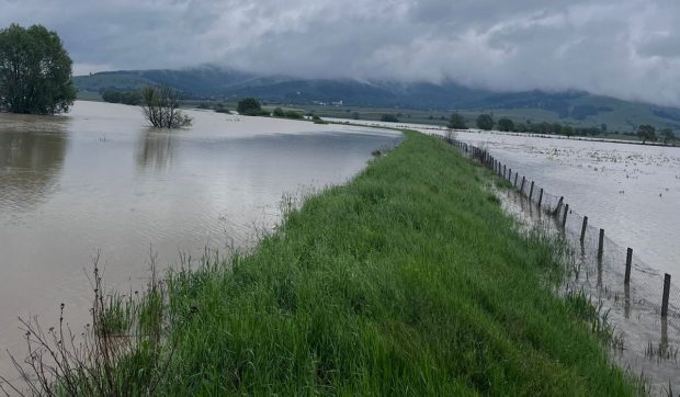 Inundațiile au făcut prăpăd în 16 județe și în București: zeci de curți și locuințe au fost distruse de viituri