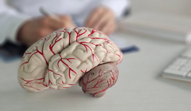  sfaturi simple pentru sănătate cerebrală și prevenirea declinului cognitiv