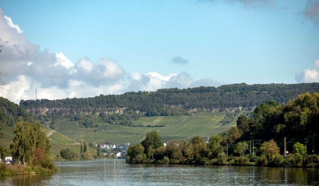 Drum deschis până la podgoriile rustice din Luxemburg: transportul public este gratuit pentru toată lumea, inclusiv pentru turiști