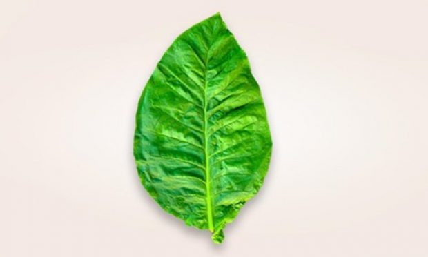 Produsele fără fum – o alternativă la continuarea fumatului