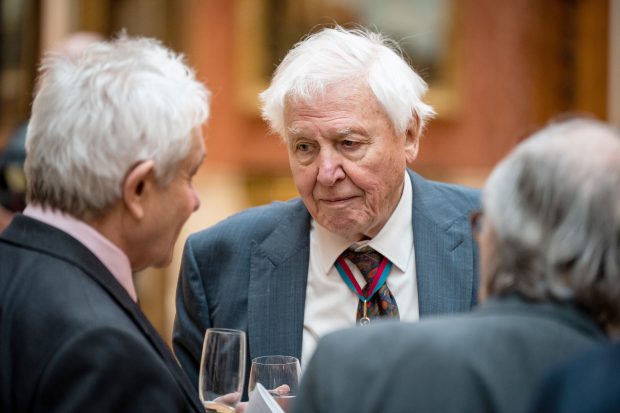 Mesajul lui Sir David Attenborough, la aproape 99 de ani: „Am înțeles care este cel mai important loc de pe Pământ” I VIDEO