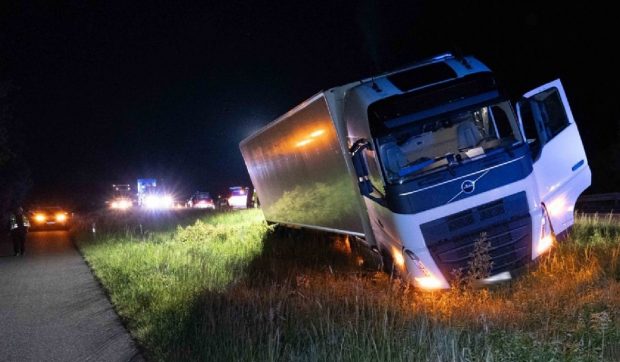 Șofer român de TIR scos de pe șosea de o turmă de căprioare, în Germania