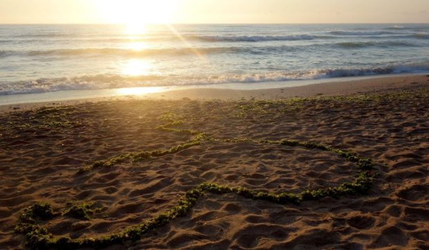 Cât costă o noapte de cazare la mare, în România, în 2025. Începe o nouă ediție a programului „Litoralul pentru toți”