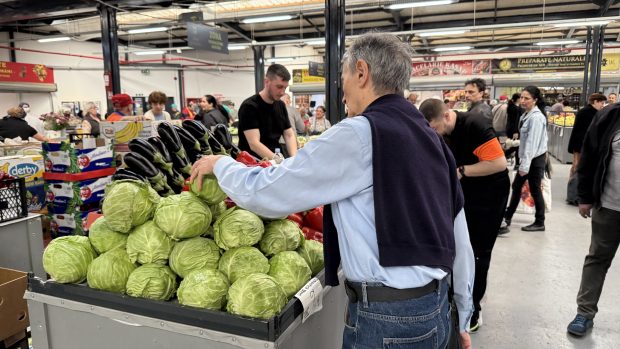 Cât costă un kilogram de varză nouă în piață? „E exact ce trebuie! Merge călită cu puțină cărniță”