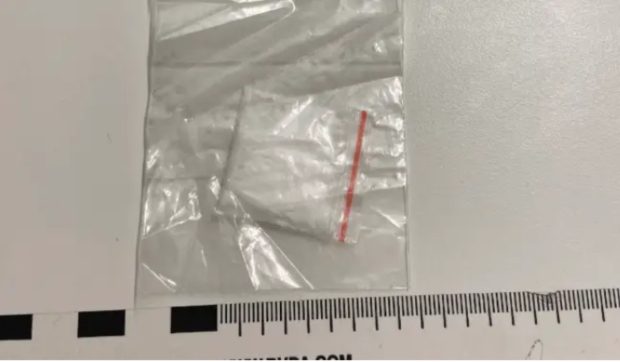 Droguri la curtea regală suedeză. Verișorul prințesei moștenitoare Victoria, prins cu cocaină la o petrecere într-un club de noapte din Stockholm