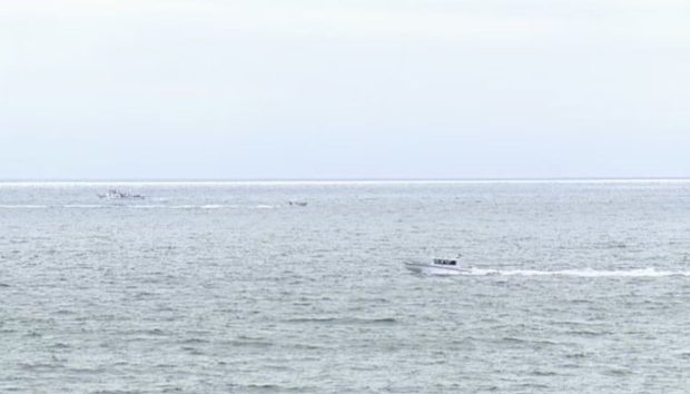 Un avion s-a prăbușit în ocean, în largul coastei San Diego. Toate persoanele aflate la bord au murit