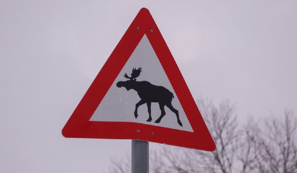 
Semnul rutier Beware of moose este văzut în Kvaloya lângă Tromso, Norvegia, pe 11 ianuarie 2025. Iarna în Norvegia, Tromso - 11 ianuarie 2025