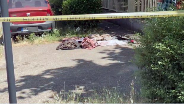 Ce spun specialiștii în cazul pseudo-crimei de la Ploiești cu victimă o Rosemary Doll: „Abandonarea anchetei ar fi o gravă eroare”. Ce îi intrigă pe polițiști