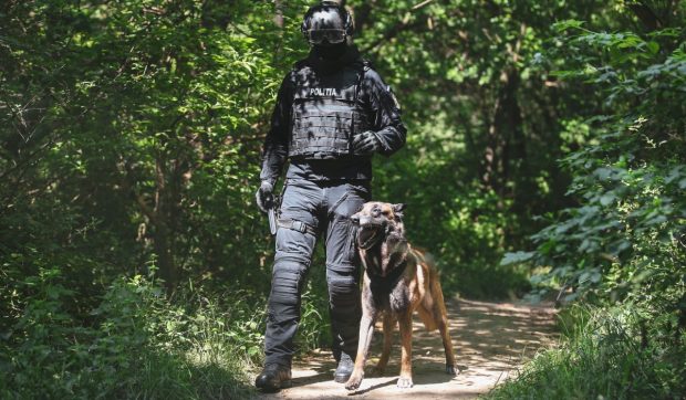 Doi mascați din satul Girov au fost prinși de un câine polițist în timp ce își dădeau foc la haine ca să scape de probe
