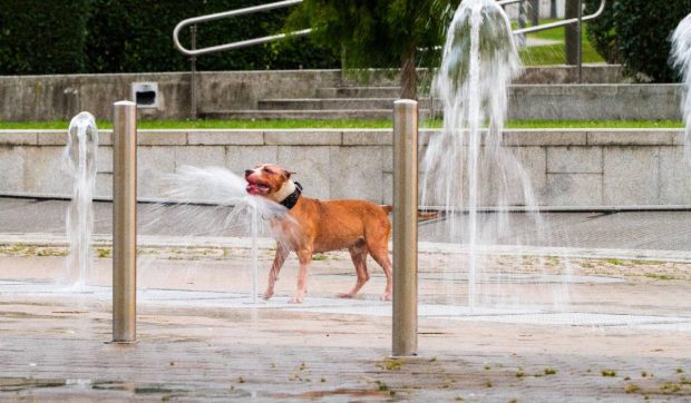 Europa se usucă: record total de 46,6°C în Portugalia. Marți va fi și mai cald în unele țări