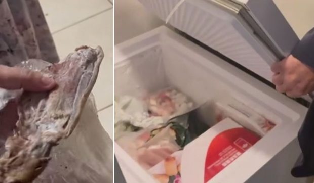 Gândaci, mâncare expirată și mizerie într-un depozit al unui restaurant chinezesc din București, în care comisarii ANPC n-au fost lăsați să intre acum câteva zile | VIDEO