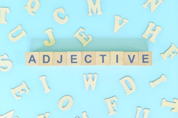 Adjective fără grade de comparaţie